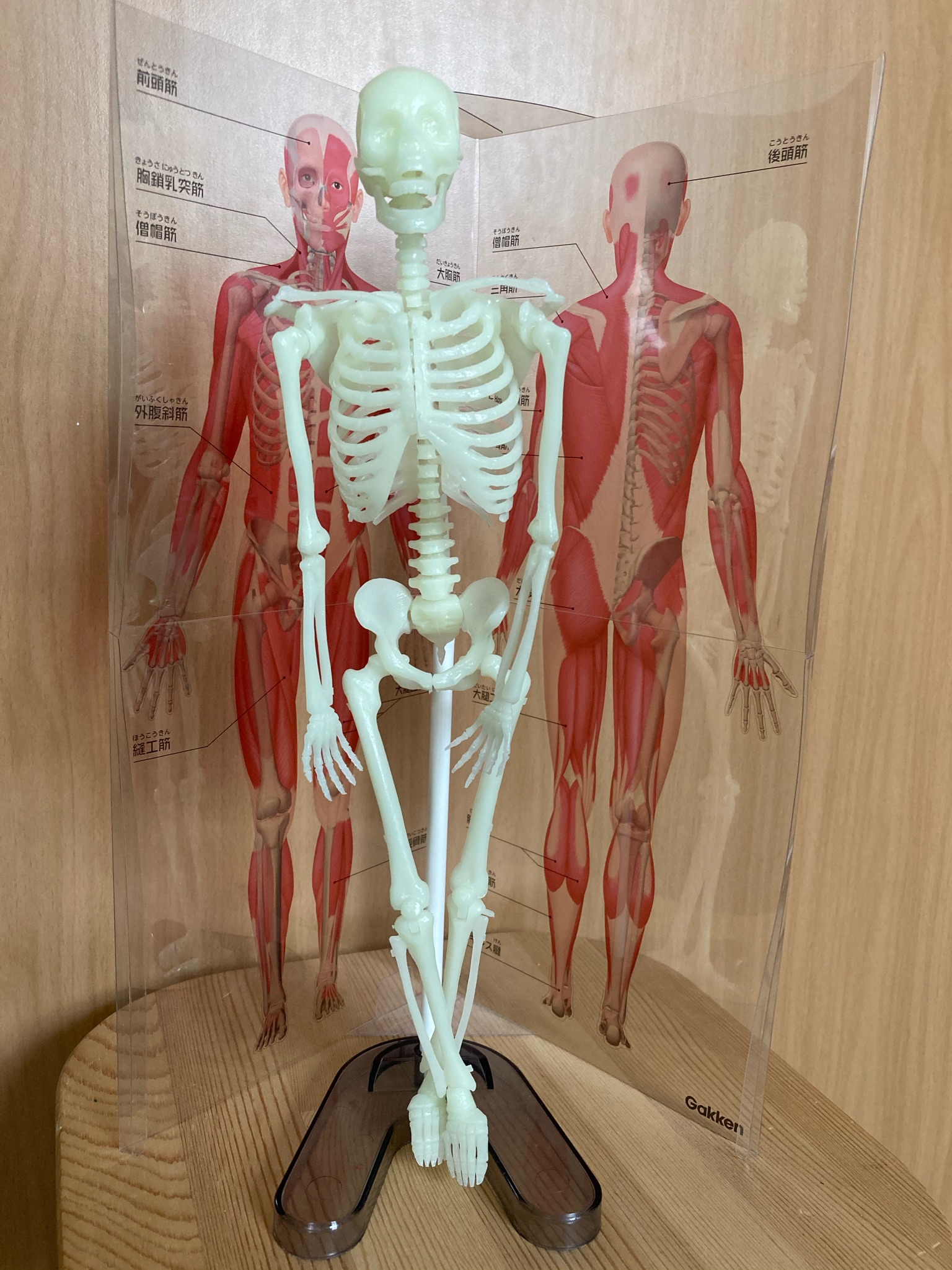 ルクセンブルクこども日本語表現